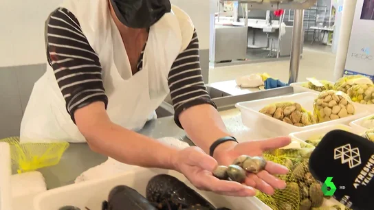 Alerta con el marisco: la compra de almejas japónicas furtivas puede causar intoxicación Alerta con el marisco: la compra de almejas japónicas furtivas puede causar intoxicación