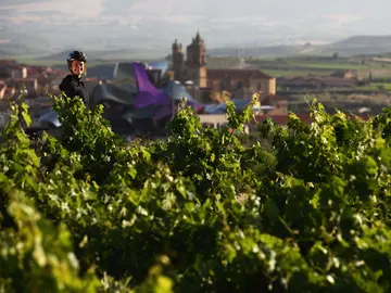 Quintas. Rioja Alavesa Quintas. Rioja Alavesa