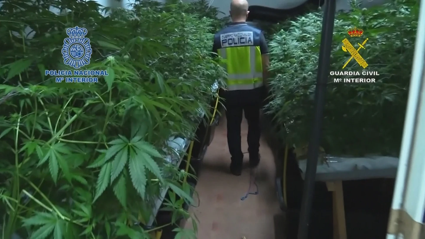 Cae una red criminal de tráfico de droga entre Países Bajos y España Cae una red criminal de tráfico de droga entre Países Bajos y España