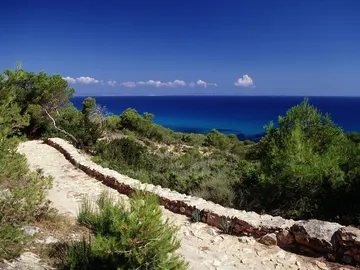 Camí de Sa Pujada Camí de Sa Pujada