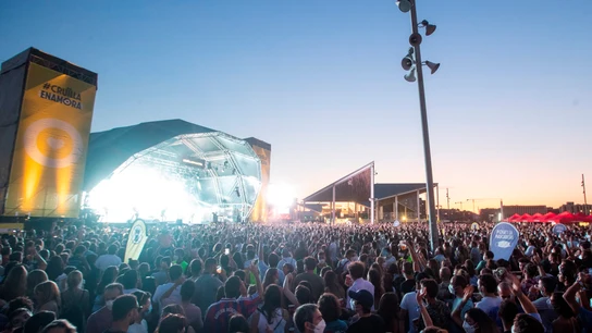Más de 2.200 asistentes a tres festivales de música catalana se contagiaron de COVID-19. Más de 2.200 asistentes a tres festivales de música catalana se contagiaron de COVID-19.