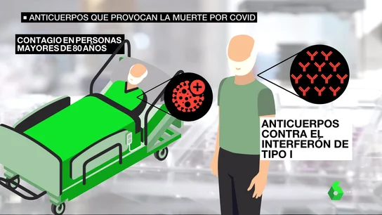 anticuerpos anticuerpos