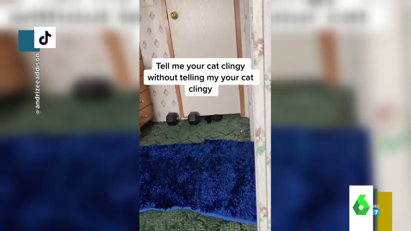 El increíble vídeo viral en el que un gato pasa por debajo de una puerta cerrada como si fuera de goma El increíble vídeo viral en el que un gato pasa por debajo de una puerta cerrada como si fuera de goma
