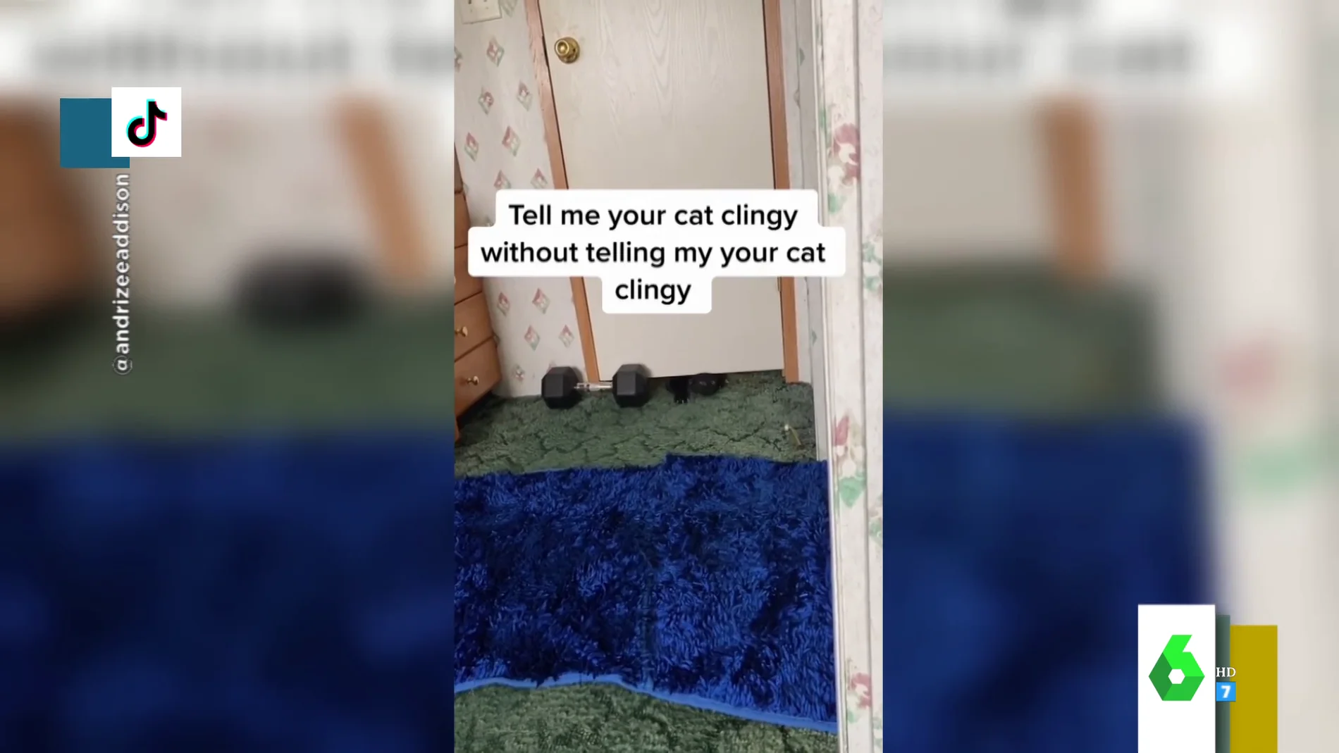 El increíble vídeo viral en el que un gato pasa por debajo de una puerta cerrada como si fuera de goma