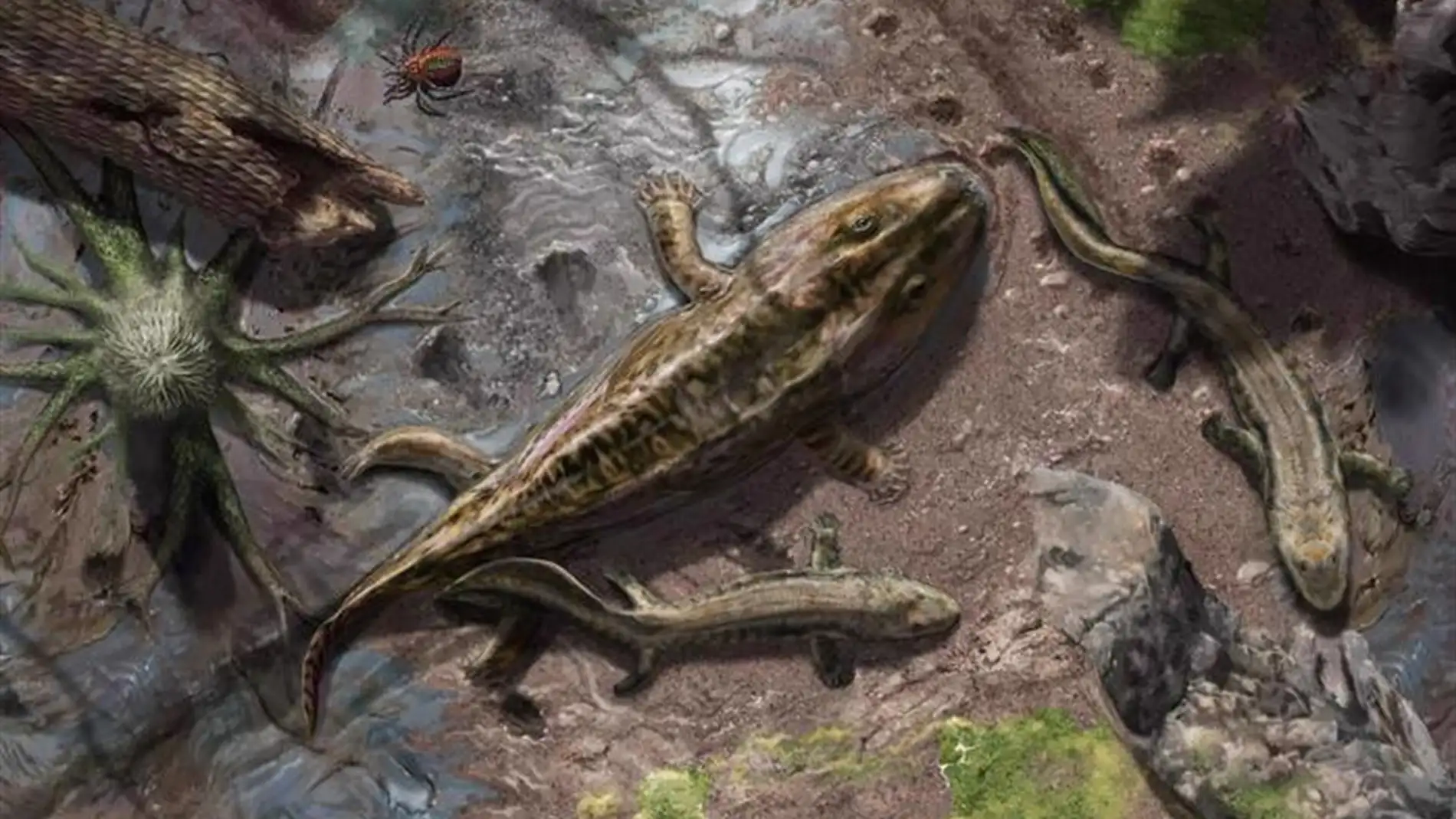 Representación artística de dos tetrápodos que salen del agua