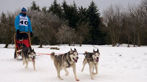 Nieve en el Valle de Arán