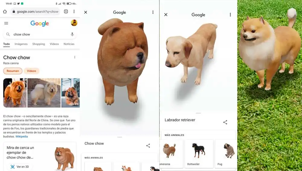 Buscando perritos en 3D