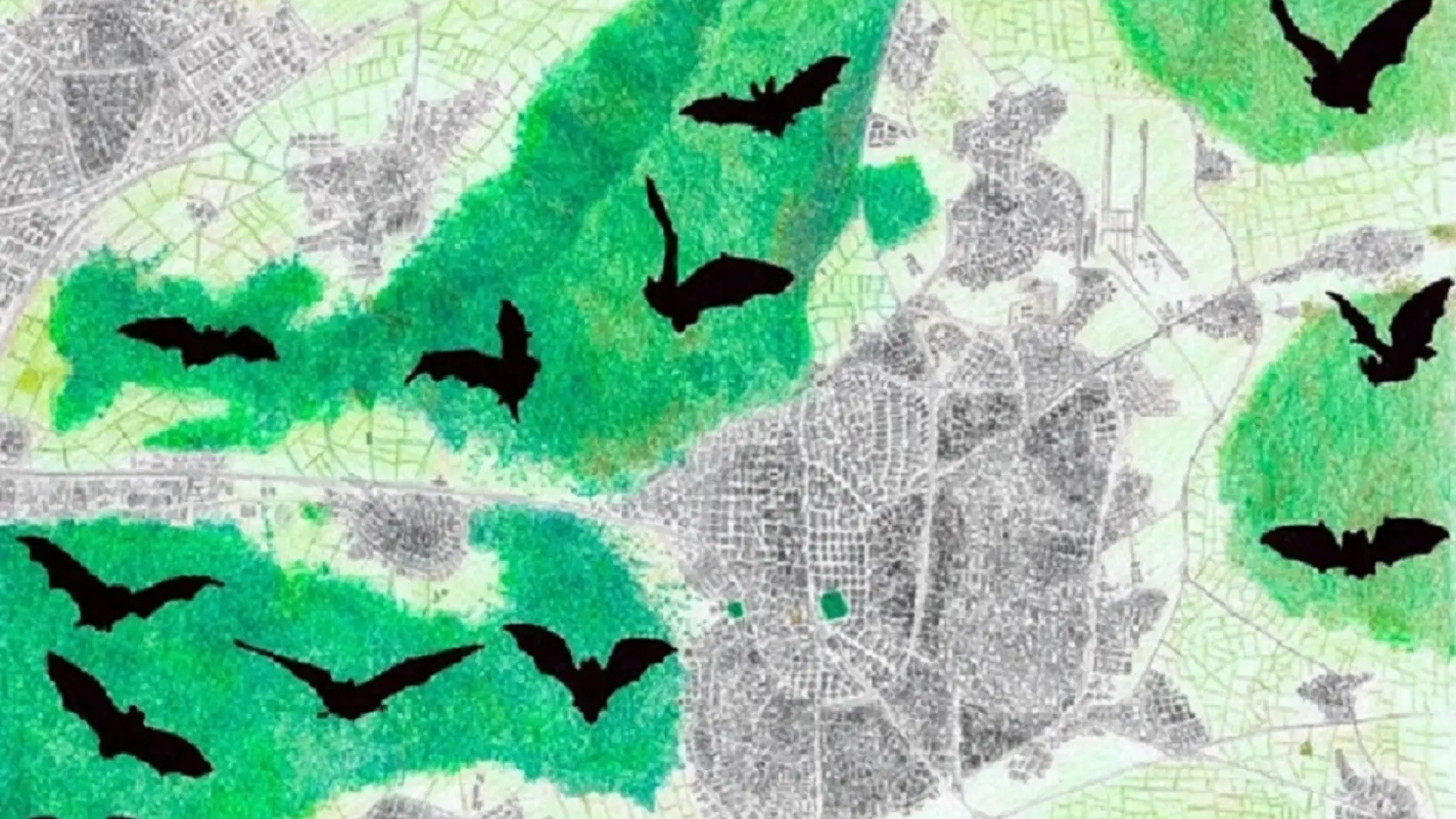 Dibujo de la distribución de algunas zonas protegidas alrededor de Madrid.