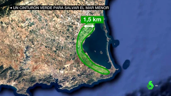 cinturón verde cinturón verde