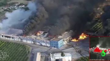 Arden cinco millones de kilos de fruta de una empresa de Mérida en un incendio que sigue activo
