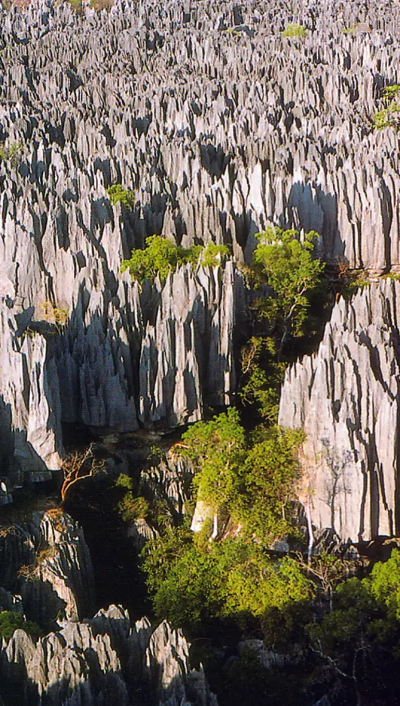 Panorámica del Parque Nacional Tsingy de Bemaraha