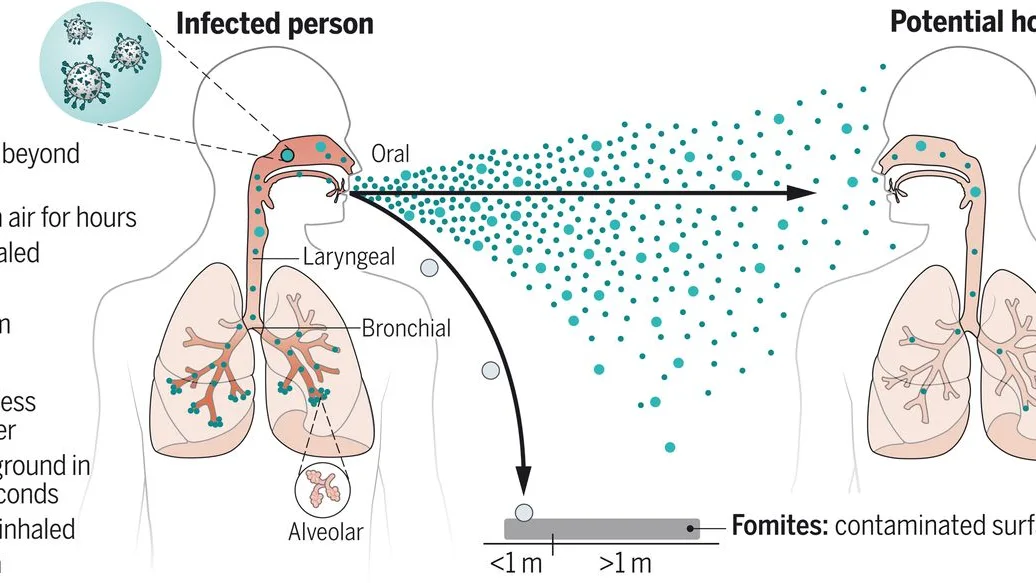 El misterio se ha resuelto: la principal vía de transmisión de la COVID-19 son los aerosoles