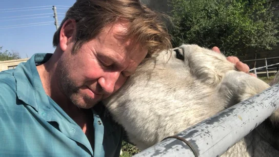 El británico Pen Farthing con uno de sus animales del refugio de Kabul. El británico Pen Farthing con uno de sus animales del refugio de Kabul.