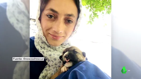 MASCOTAS EVACUADOS MASCOTAS EVACUADOS