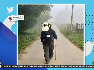 Los mejores memes del Camino de Santiago de Martínez-Almeida