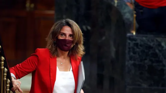 La ministra para la Transición Ecológica, Teresa Ribera en el Congreso. La ministra para la Transición Ecológica, Teresa Ribera en el Congreso.