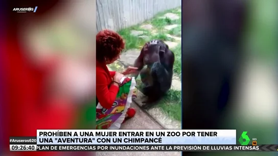 Un zoológico prohíbe la entrada a una mujer por tener una "aventura" con un chimpancé Un zoológico prohíbe la entrada a una mujer por tener una "aventura" con un chimpancé