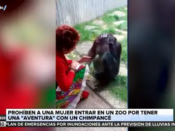 Un zoológico prohíbe la entrada a una mujer por tener una &quot;aventura&quot; con un chimpancé