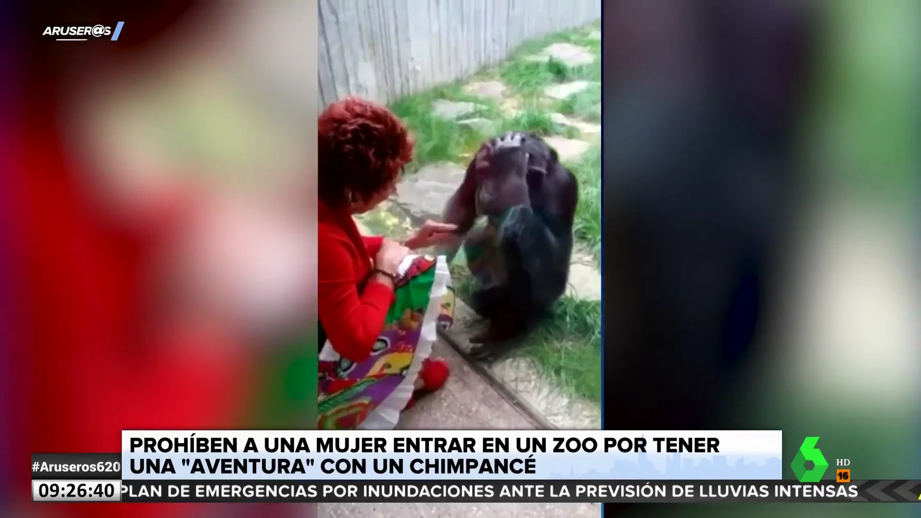 Un zoológico prohíbe la entrada a una mujer por tener una "aventura" con un chimpancé