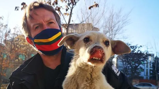 El polémico Noé de Afganistán: un exmarine evacúa 170 perros y gatos y deja atrás al personal de su ONG El polémico Noé de Afganistán: un exmarine evacúa 170 perros y gatos y deja atrás al personal de su ONG