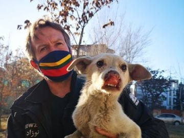 El polémico Noé de Afganistán: un exmarine evacúa 170 perros y gatos y deja atrás al personal de su ONG