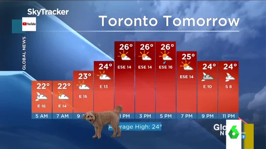 El perro de un hombre del tiempo se cuela en plena previsión meteorológica El perro de un hombre del tiempo se cuela en plena previsión meteorológica
