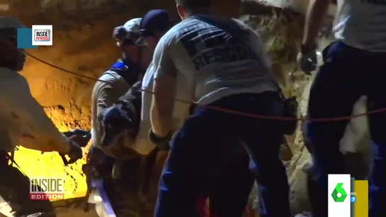 El complicado rescate de Zoe, una labrador que quedó atrapada en una tubería en Texas El complicado rescate de Zoe, una labrador que quedó atrapada en una tubería en Texas
