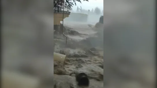 Cobisa DANA DANA