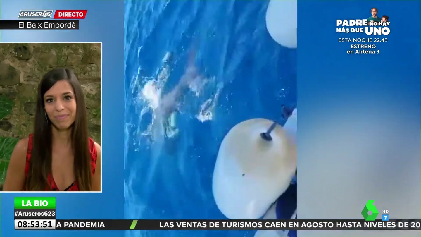 ¿Por qué las orcas están atacando a los barcos en la costa de Cádiz? Evelyn Segura da las claves ¿Por qué las orcas están atacando a los barcos en la costa de Cádiz? Evelyn Segura da las claves