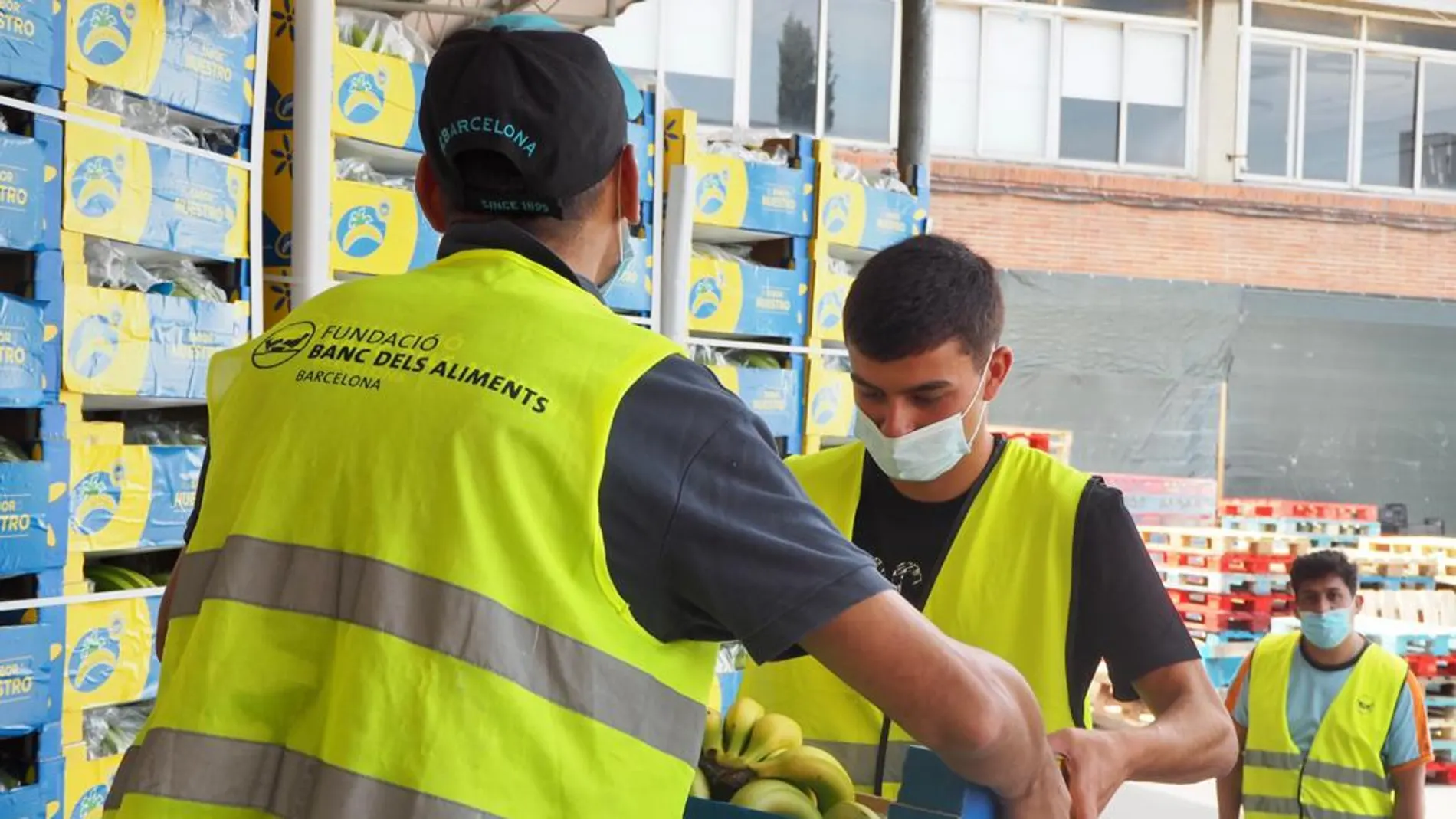 Pedri, voluntario para repartir 80.000 kilos de plátanos a 54 Bancos de Alimentos