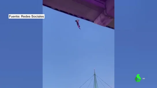 GATO RESCATE GATO RESCATE