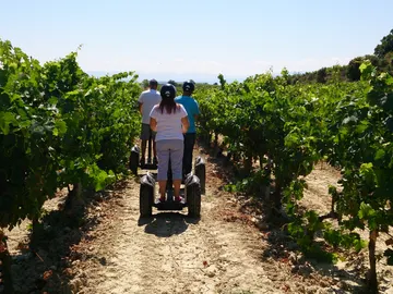Paseando cómodamente entre viñedos Paseando cómodamente entre viñedos