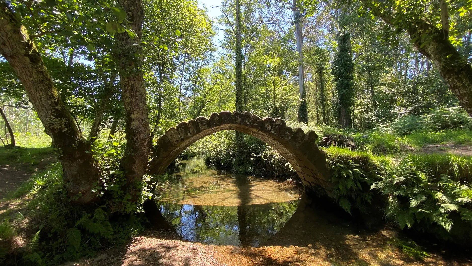 Puente sobre el río Sieira