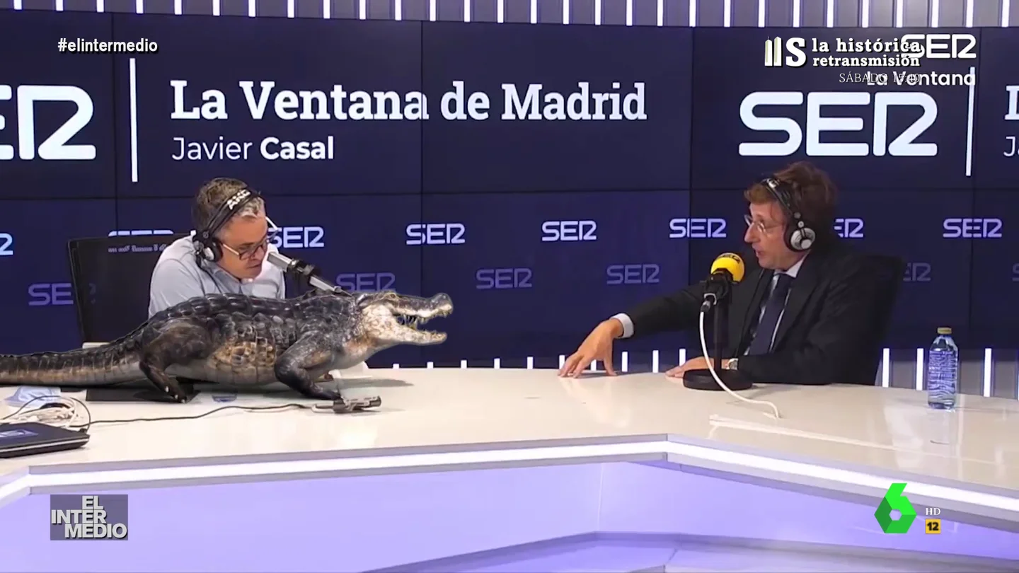 Vídeo manipulado - El momento en el que un cocodrilo se dirige directo a Almeida Vídeo manipulado - El momento en el que un cocodrilo se dirige directo a Almeida