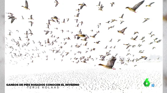 Estas son las mejores fotografías hechas con drones del año Estas son las mejores fotografías hechas con drones del año