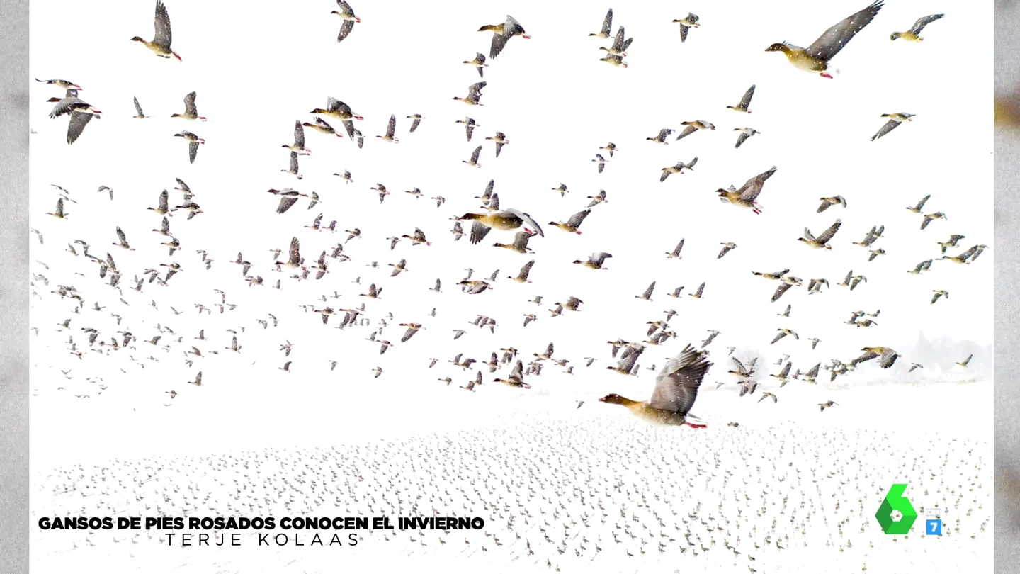 Estas son las mejores fotografías hechas con drones del año Estas son las mejores fotografías hechas con drones del año