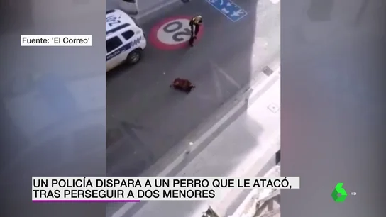 policía dispara a perro policía dispara a perro