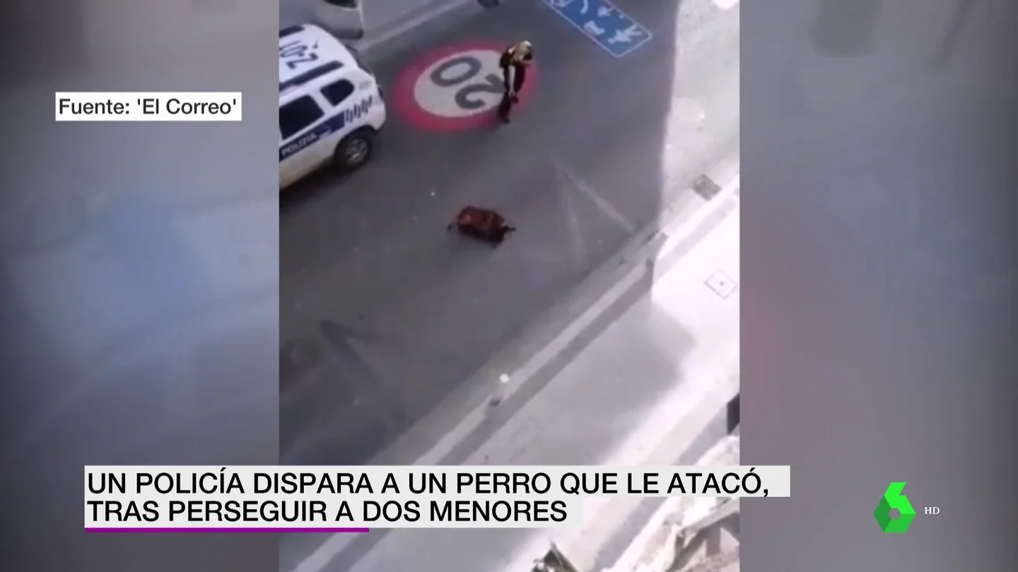 policía dispara a perro policía dispara a perro
