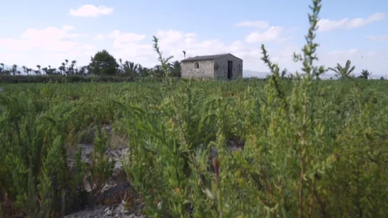 Así creó Franco 300 campos de concentración en España: "La gente todavía habla con miedo" Así creó Franco 300 campos de concentración en España: "La gente todavía habla con miedo"