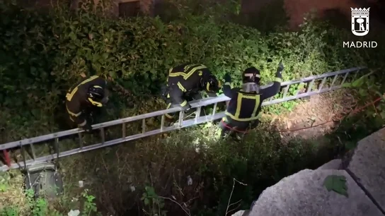 Rescatan a una niña que se cayó en un pozo de 8 metros de profundidad en Arganzuela (Madrid) Rescatan a una niña que se cayó en un pozo de 8 metros de profundidad en Arganzuela (Madrid)