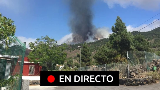 La última hora de la erupción del volcán en La Palma, en directo La última hora de la erupción del volcán en La Palma, en directo