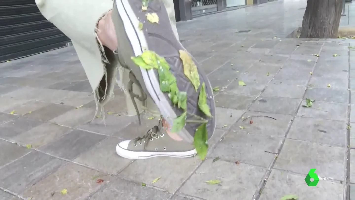 Una plaga de cochinillas deja una película pegajosa en las calles de Valencia y provoca la contaminación de 1.200 árboles Una plaga de cochinillas deja una película pegajosa en las calles de Valencia y provoca la contaminación de 1.200 árboles