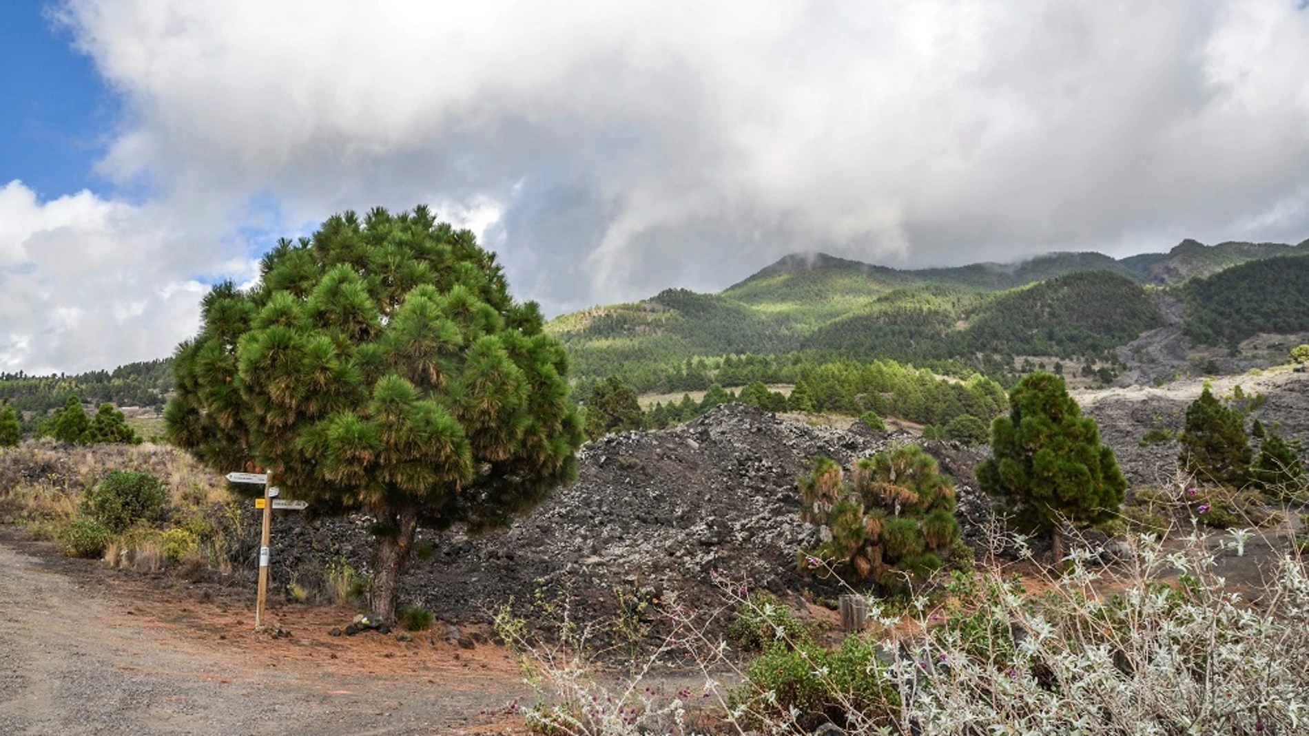 Imagen de la colada del volcán San Juan de Cumbre Vieja, en La Palma