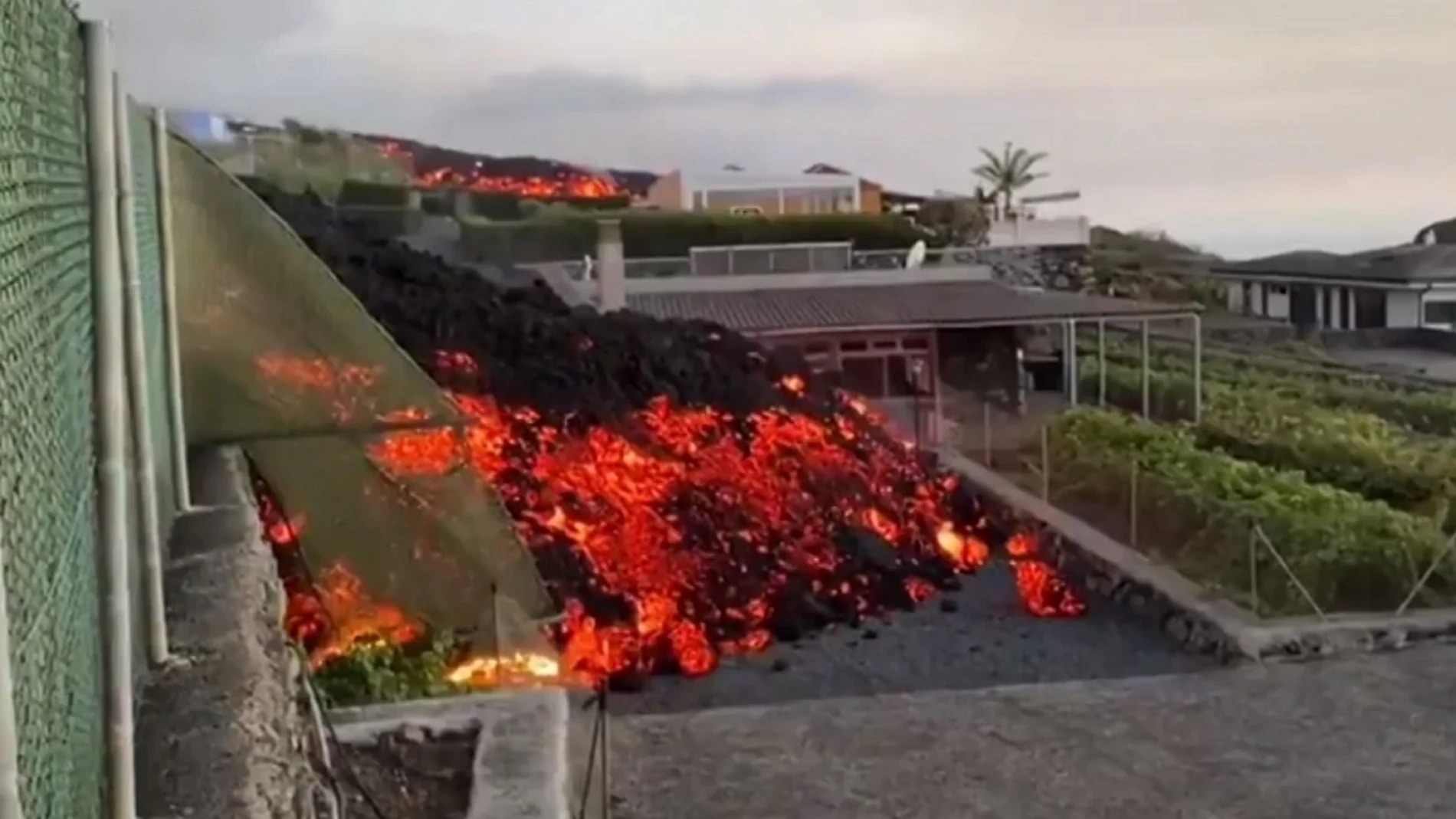 Imagen del colegio destruido por la lava en La Palma