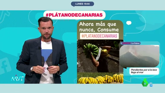 redes redes