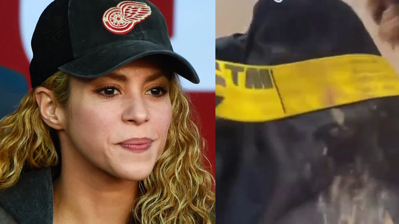 Shakira y su mochila tras ser atacada por dos jabalíes