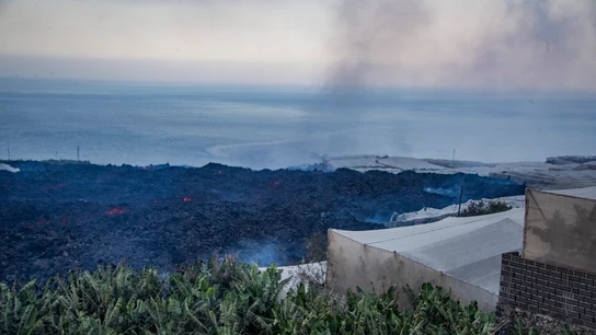 Vista de la lava del volcán de La Palma a su paso por una zona de plantaciones Vista de la lava del volcán de La Palma a su paso por una zona de plantaciones