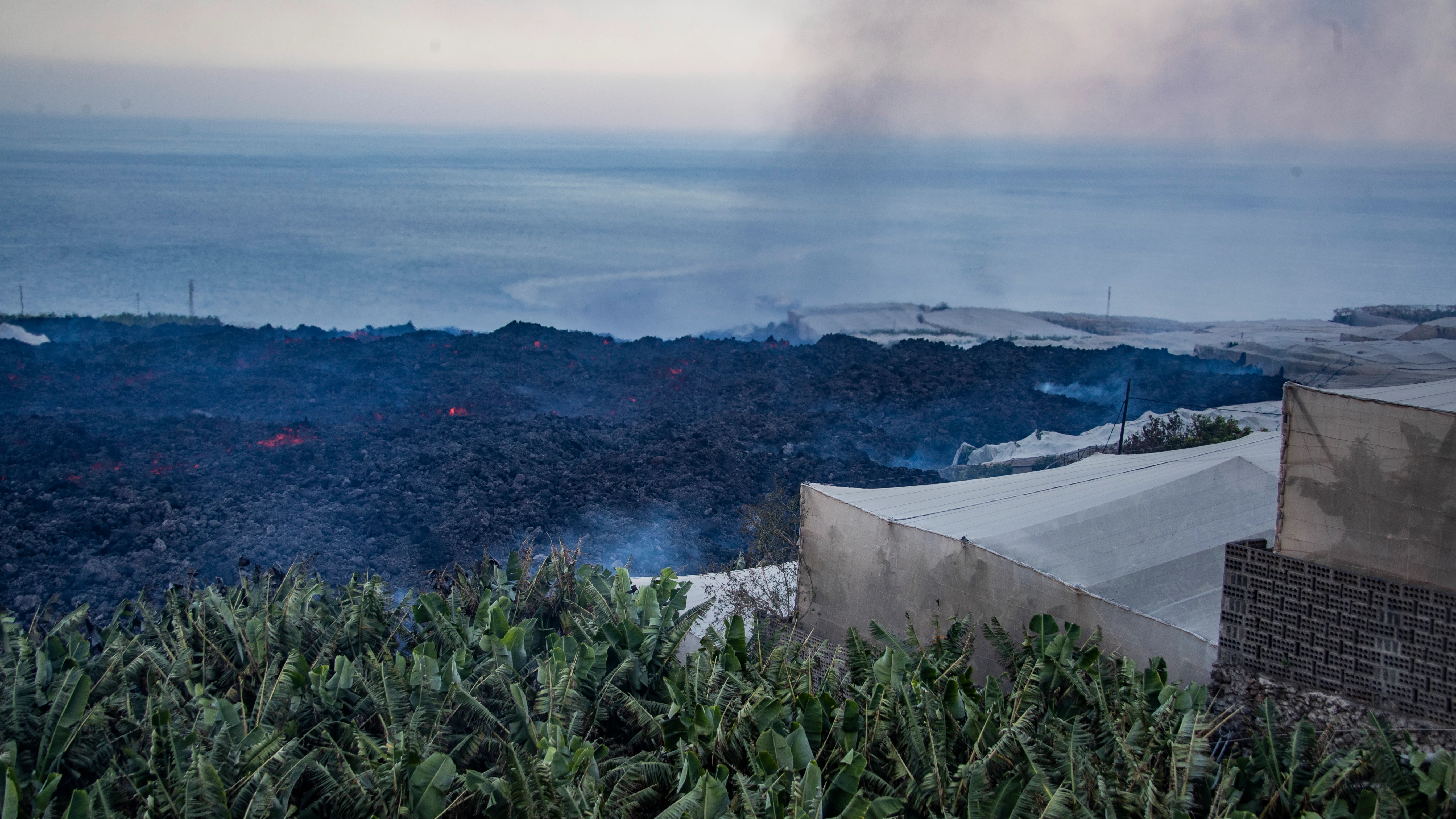 Vista de la lava del volcán de La Palma a su paso por una zona de plantaciones