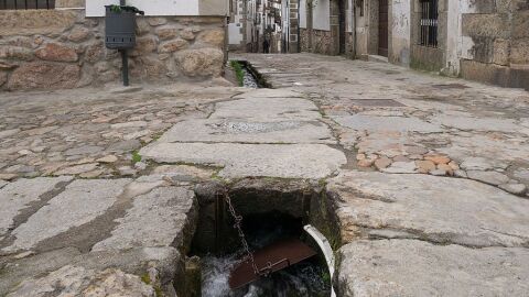 Candelario