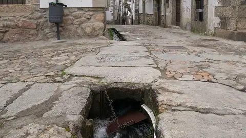 Candelario Candelario